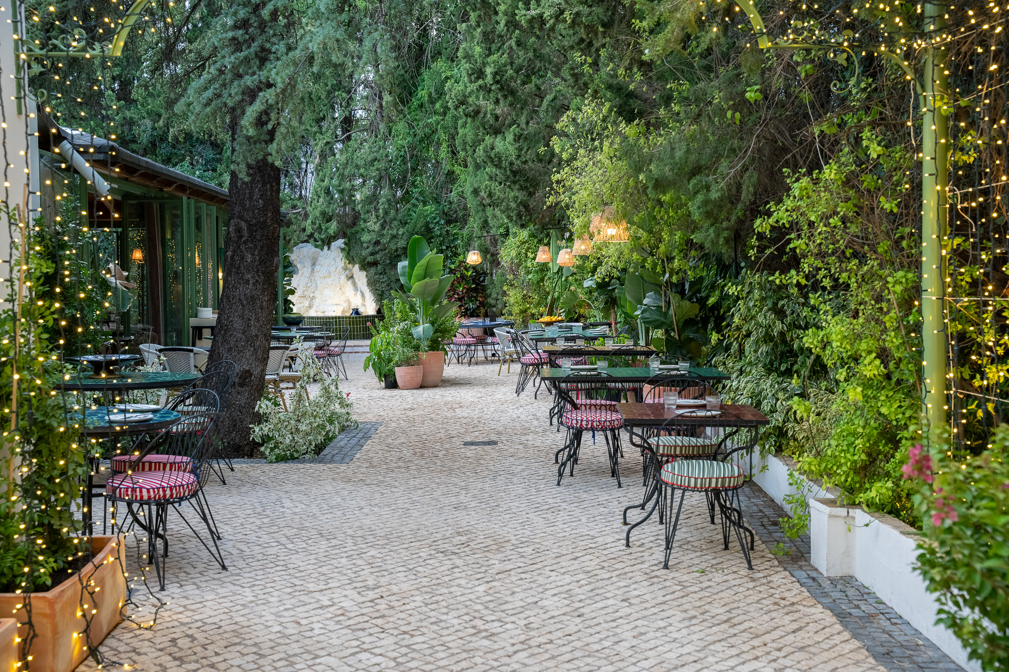 Terraza exterior rodeada de vegetación